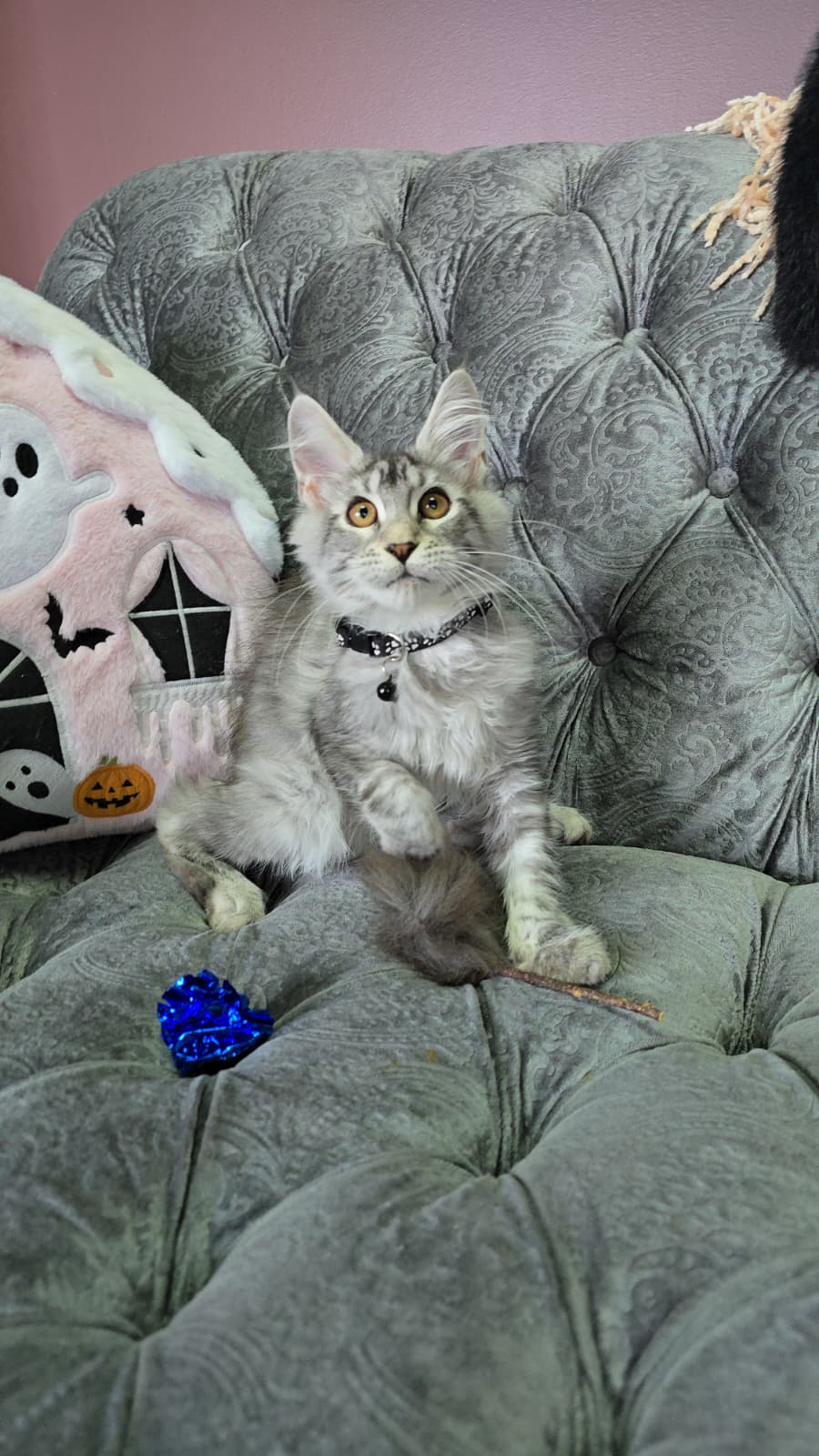 TEST1