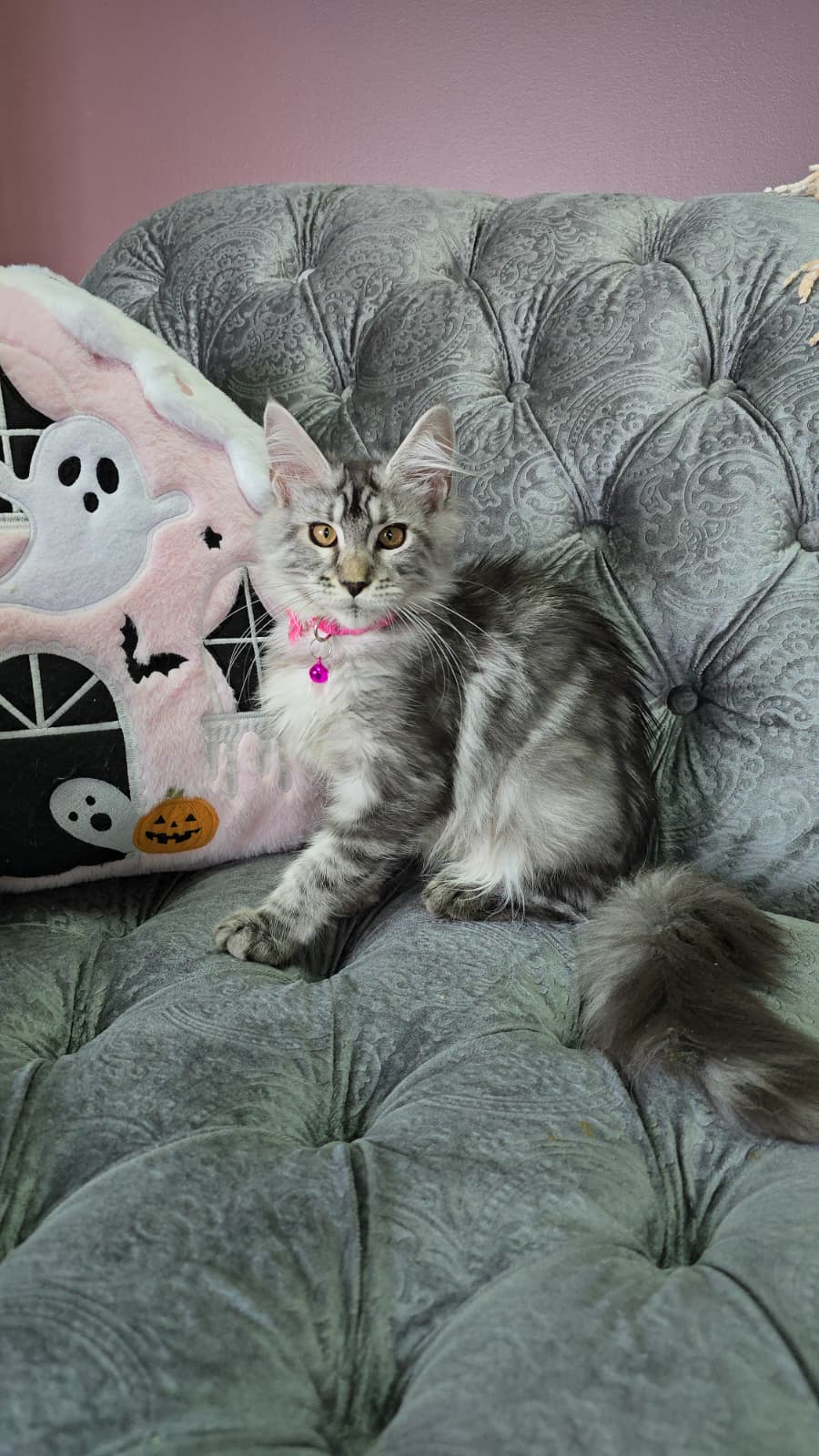 TEST1